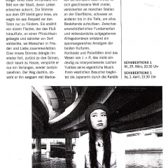 newspaper3